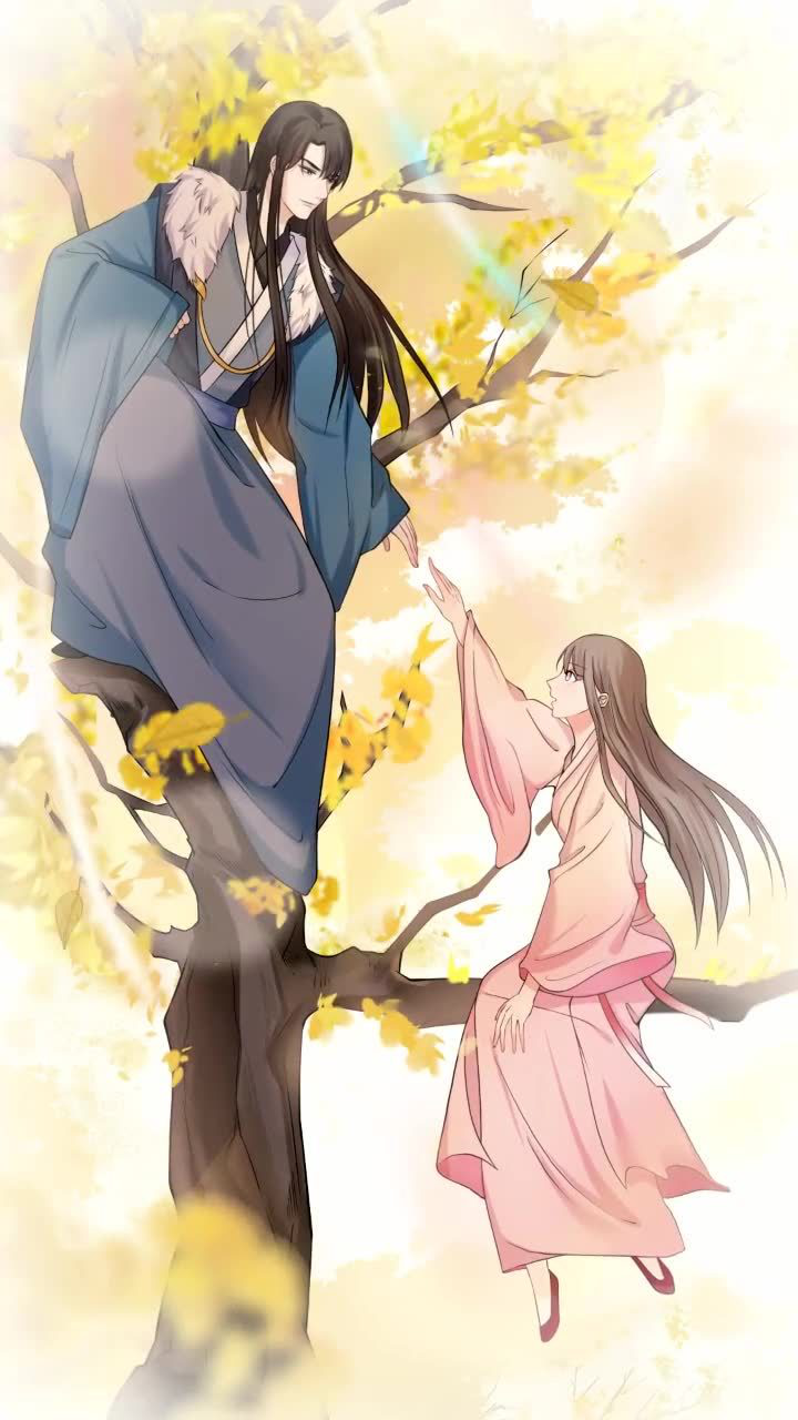 猫总白一航前世今生吗他们是上一世的恋人吗