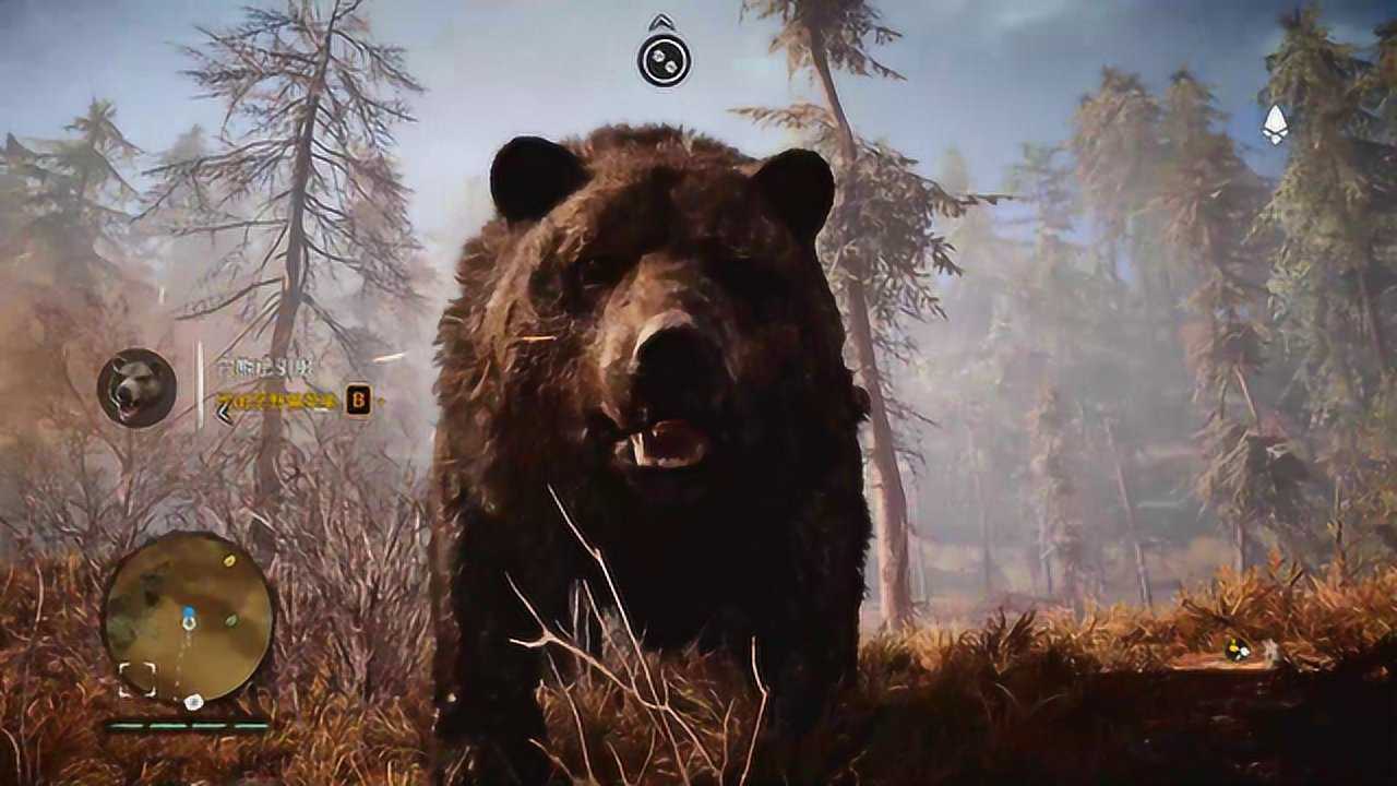 孤岛惊魂19率领血牙剑齿虎大战穴熊成功将它驯化起名叫熊大