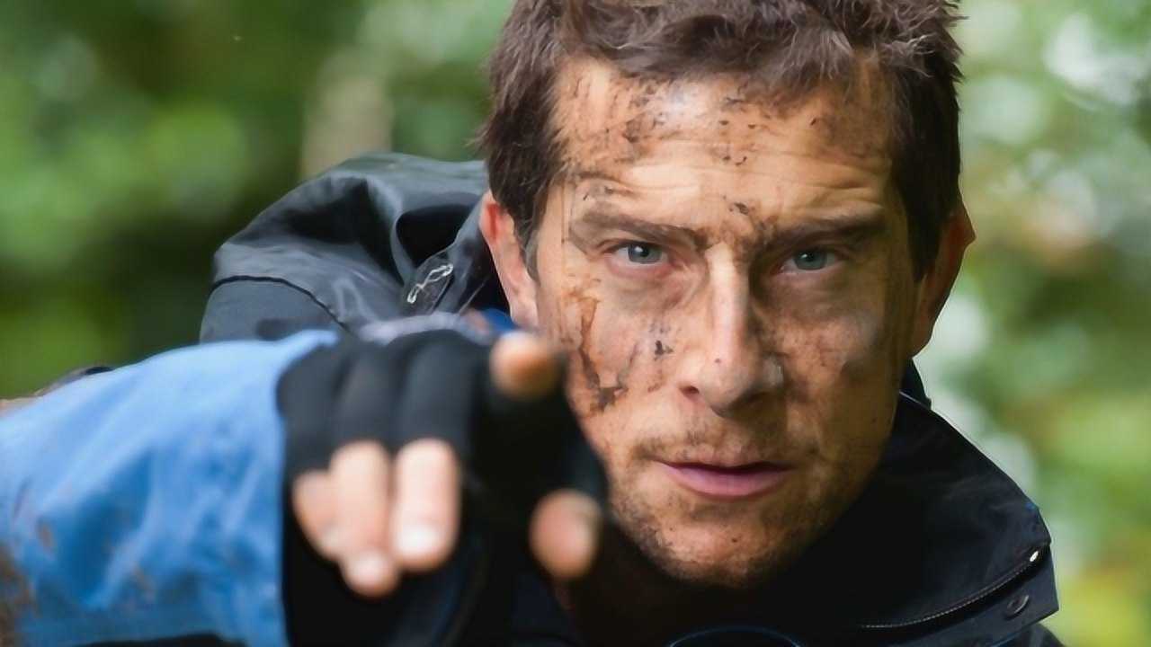 贝爷生吃虫子肝脏,为何还能保持健康?其实真相和网红一个套路