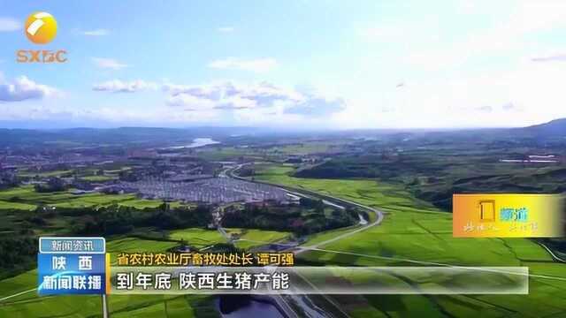 陕西省新建扩建养殖场,加快生猪产能恢复