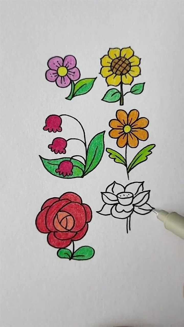教孩子画各种各样的花