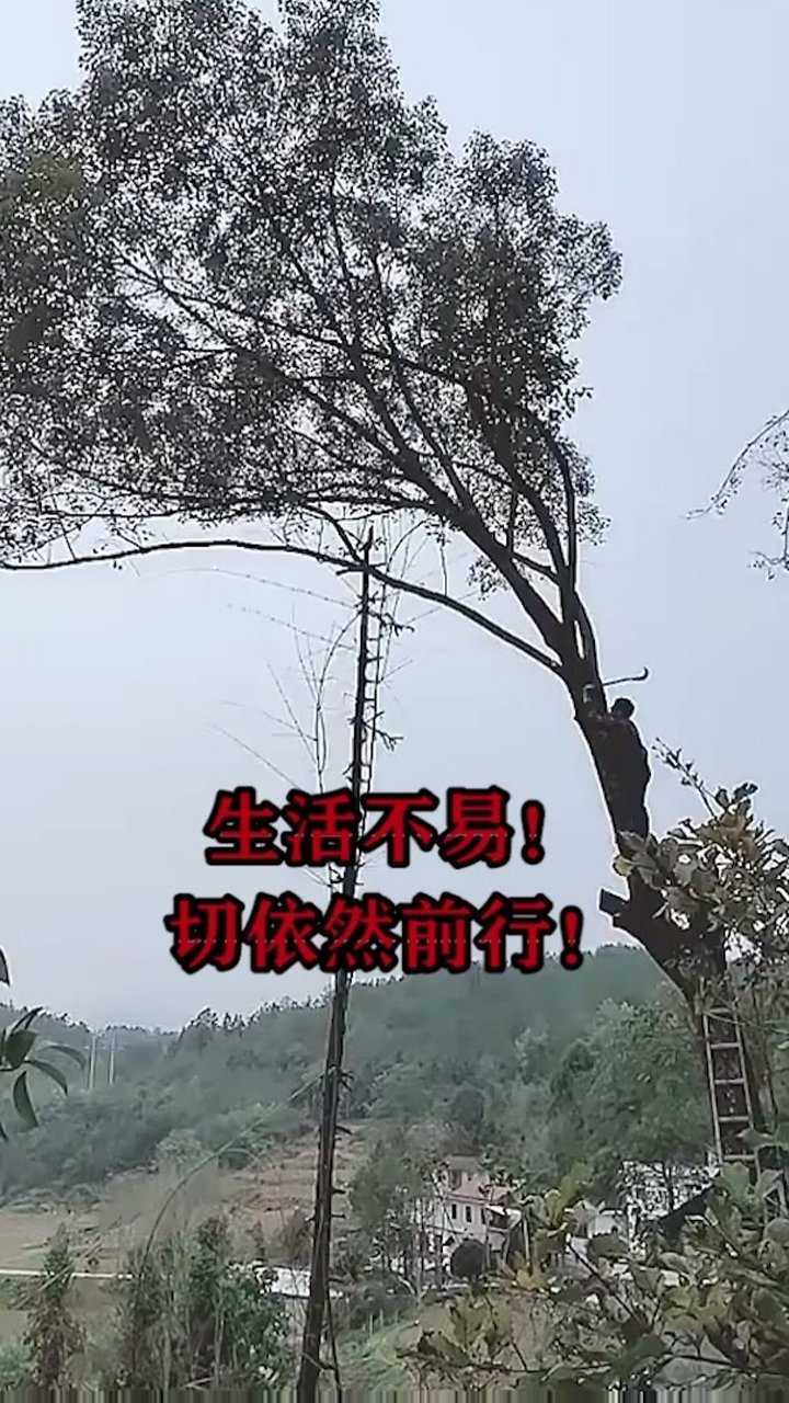 生活不易,却依然负重前行!@经纪人小微_腾讯视频