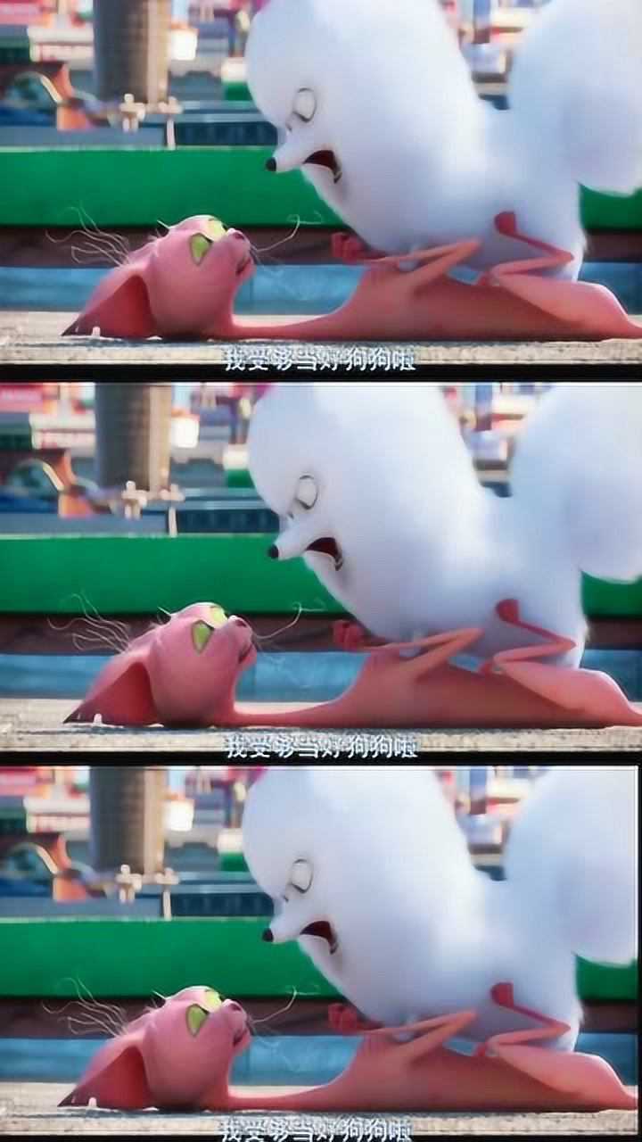 爱宠大机密啾啾痛揍外星让外星说出麦克在哪里