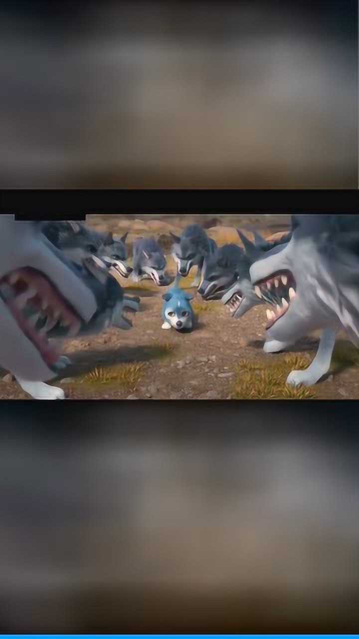 熊出没之原始时代飞飞不想独眼狼伤害熊大因为熊大是它最好的朋友