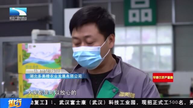 战疫心连心 助农惠民行 |“橙功”款伦晚脐橙 “甜蜜”上线