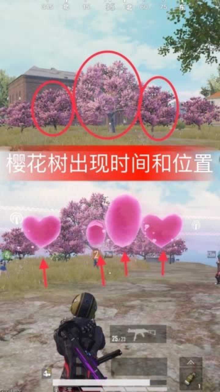 和平精英小薇问苹果樱花树的出现时间还会回归吗