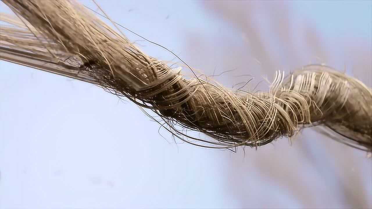 极星与bcomp合作的天然亚麻纤维复合材料