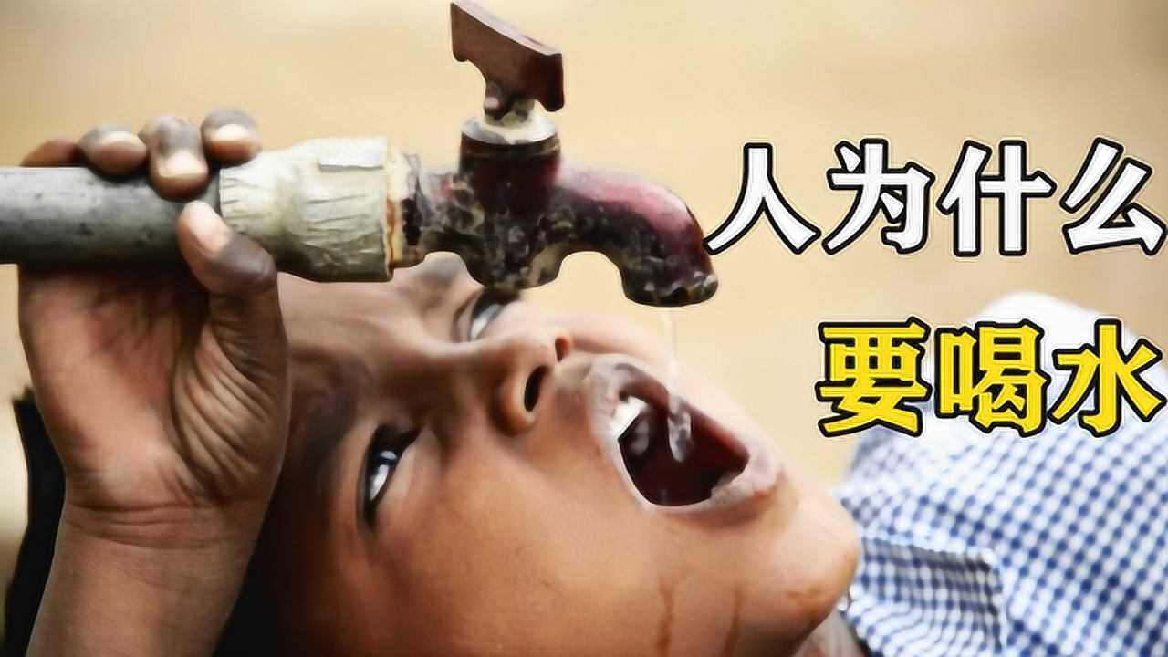 科普：人为什么要喝水？“多喝水”对身体究竟是好是坏？_高清