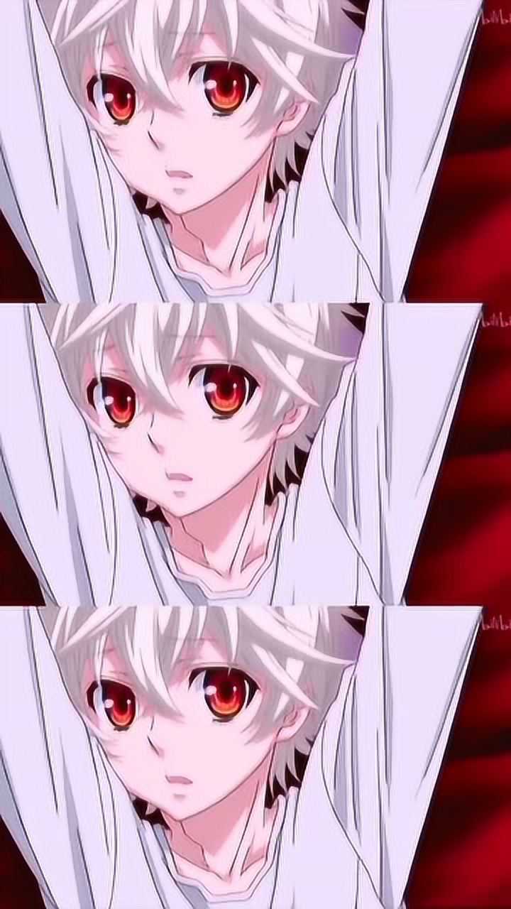 狂欢节 :无女主番 真的是小可爱呢!