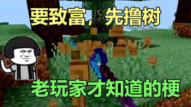 我的世界:mc里老玩家才知道的梗,雷石东直放站,你知道是什么吗