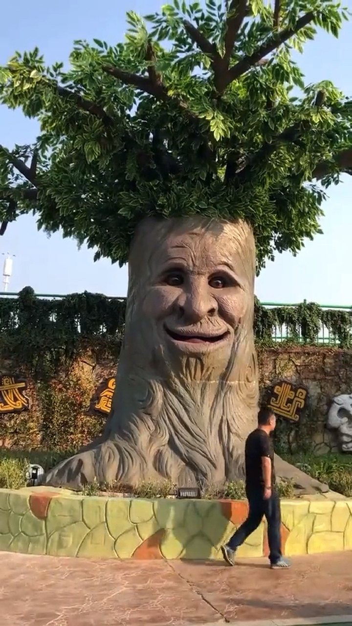 树精老爷爷!这个视频一定要看到最后!