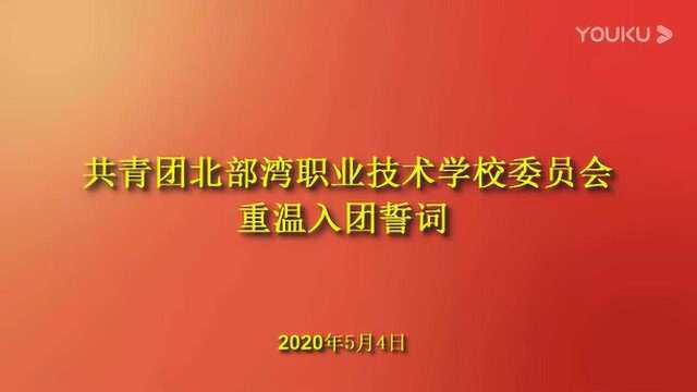 2020年北部湾职业技术学校重温入团誓词