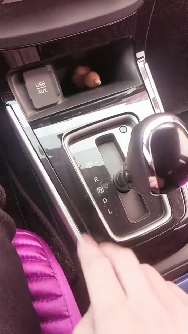 自动挡车上档把旁边的小按钮是什么作用