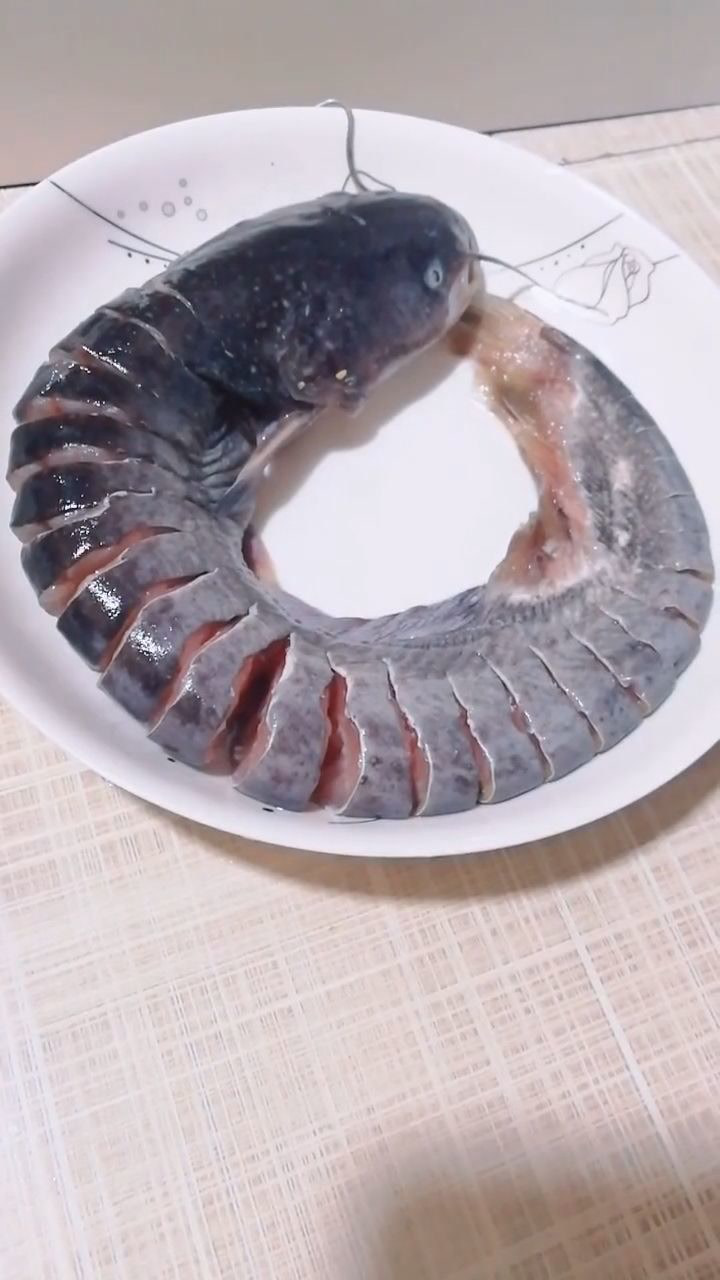 来做一道老干妈蒸鲶鱼,记住做之前一定要烫一下鲶鱼