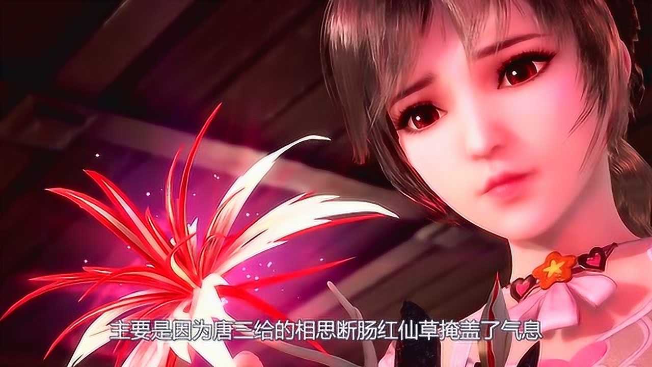 斗罗大陆:同样是封号斗罗,菊斗罗看不出小舞身份,唐昊一眼看出_腾讯