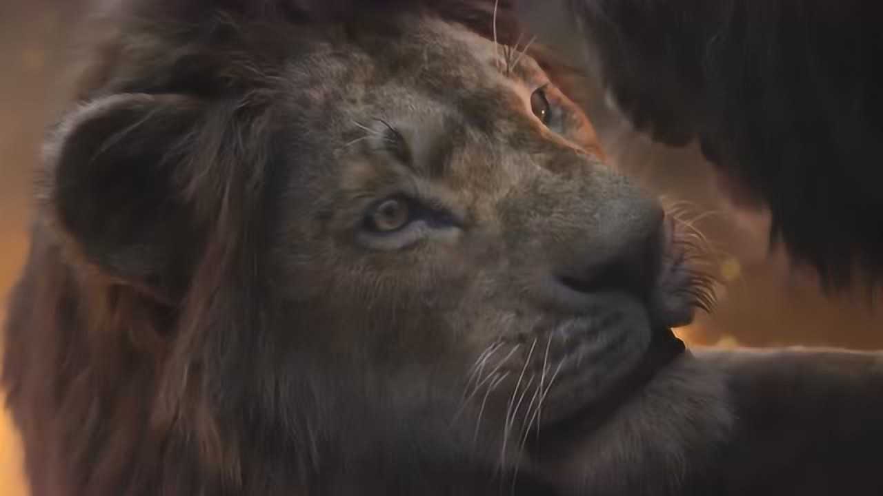狮子王刀疤承认了是自己害死的木法沙