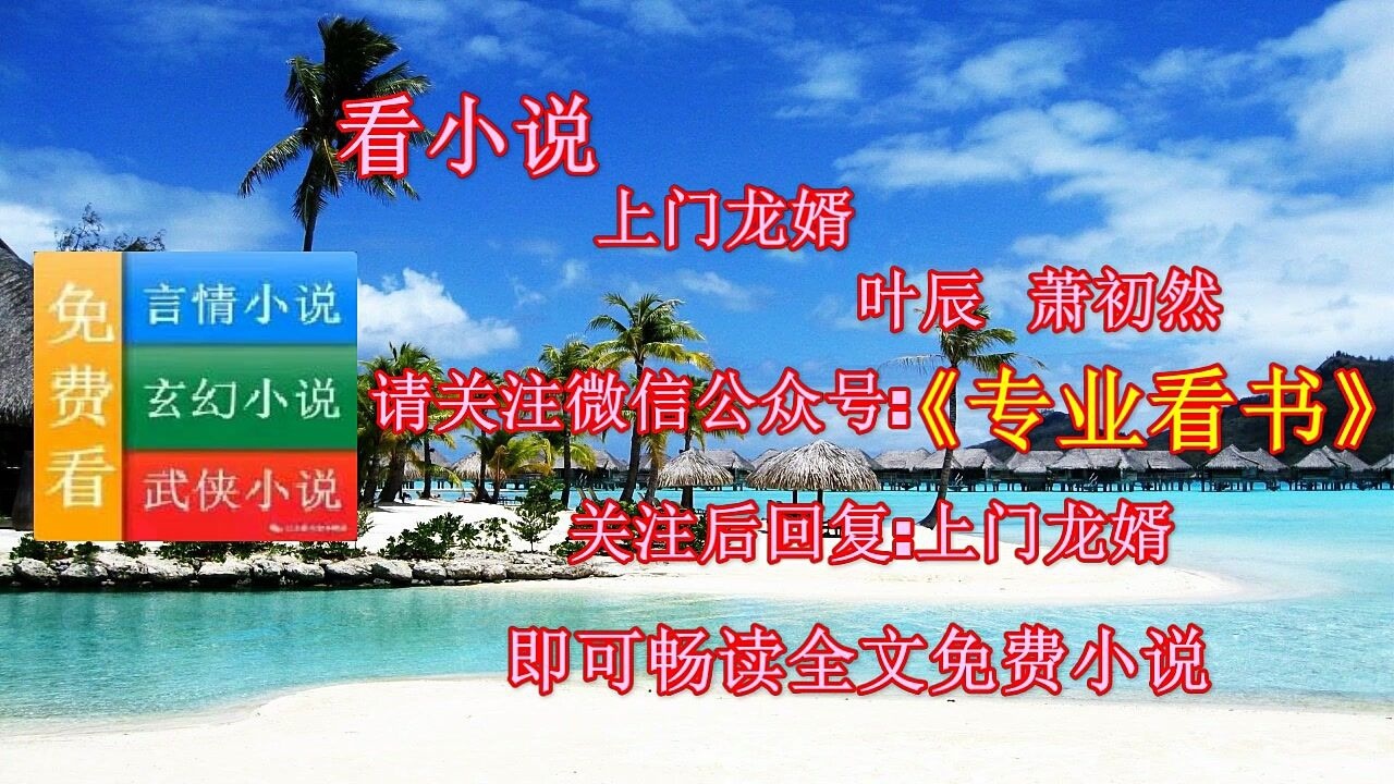 上门龙婿叶辰萧初然全本免费阅读最新章节