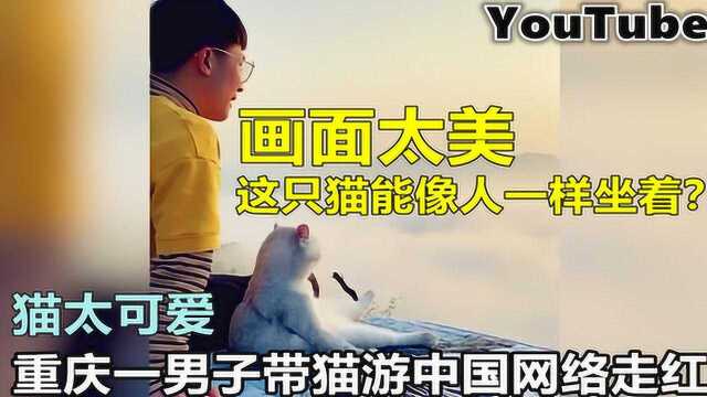 重庆男子带猫咪游中国视频网络走红 猫咪多多太可爱引网友热议