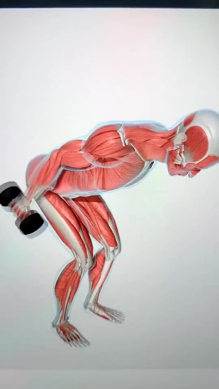 哑铃单臂俯身臂屈伸,锻炼肱三头肌,想要对手臂塑形的小伙伴可以来试试