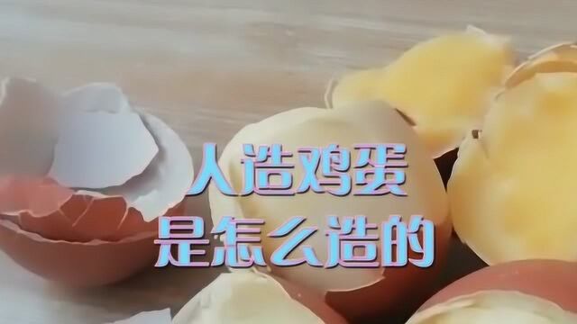 你知道“假鸡蛋”吗?人造鸡蛋到底是如何制作出来的呢?看完惊呆了!