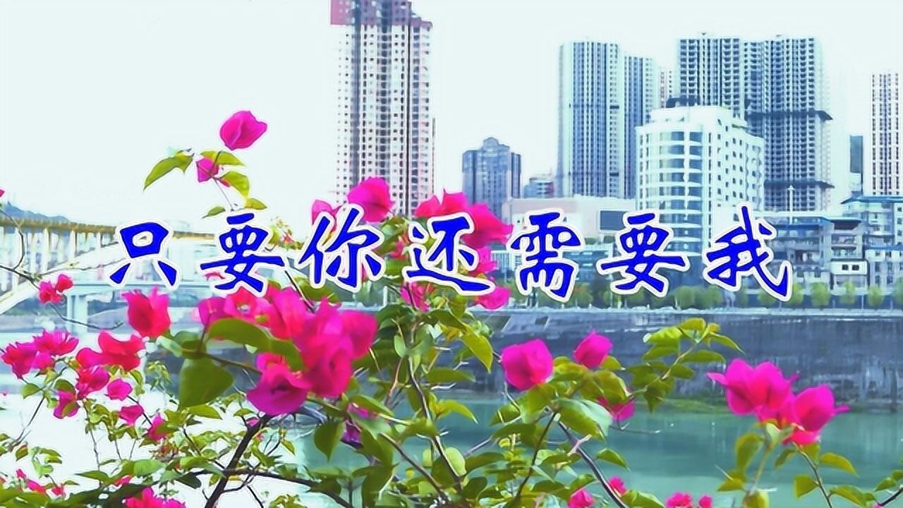 一首dj情歌《只要你还需要我》歌声伤感走心,句句入心,唱哭多少相爱的
