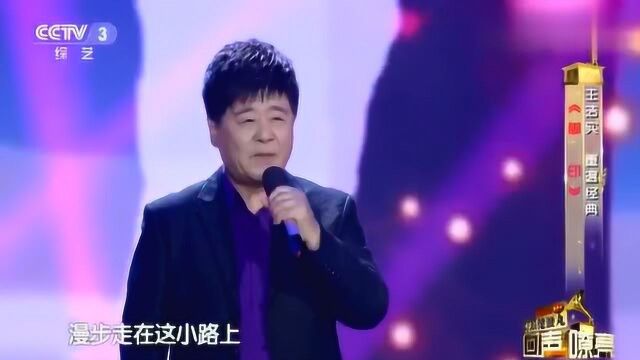 歌手王洁实演唱《脚印》越听越美,让人倍感舒适