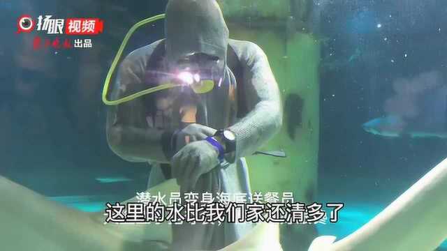 【视频】看大鲨鱼“聚餐”、海底隧道露营伴鱼眠……迎六一,南京海底世界“海洋奇妙夜”亮相