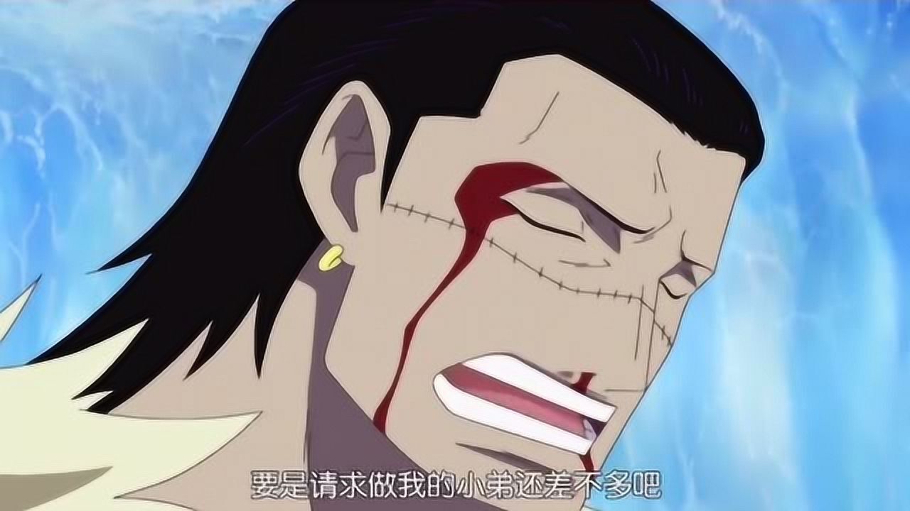 顶上战争的平头哥老沙不是在干架中就是在干架的路上