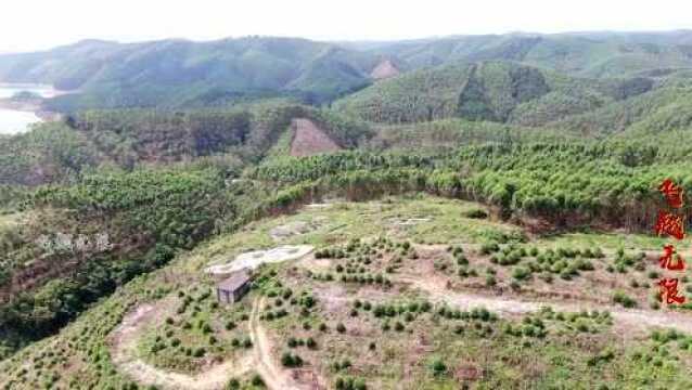 航拍广西大山里的留题大地,来龙强大有力,但正穴只有一个