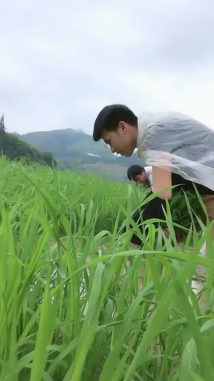 不管在农村小伙在城里多豪横回家照样难逃此劫这就是农村小伙的真实