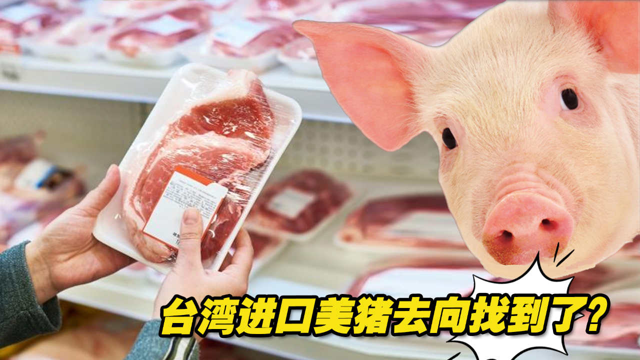 台湾检出含瘦肉精猪肉,找不到去向的进口美猪下落似有眉目