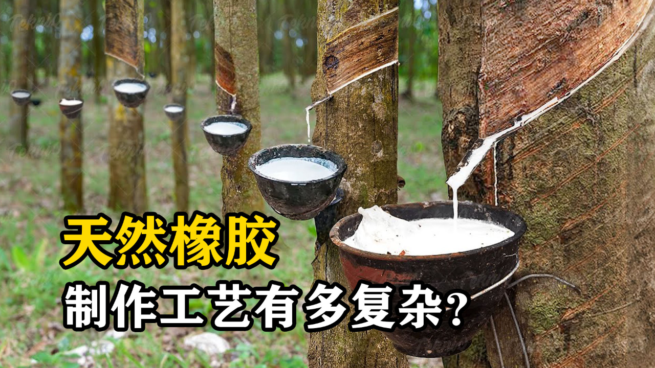 刮开树皮,有趣的现象发生了