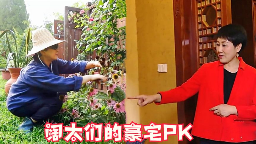 看看张凯丽的家再看邓婕的家,一个豪华一个朴素差别一目了然!