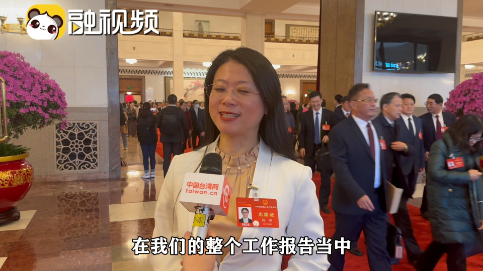 全国人大代表陈玮:政府工作报告重视妇女权利令人安心