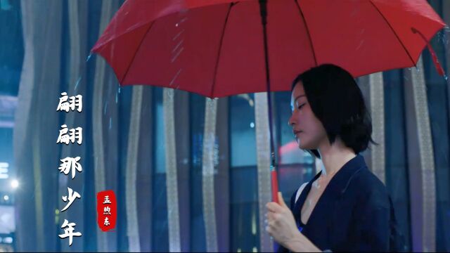 2022走心的一首《翩翩那少年》,人生不过三万天,半生风雨半身寒