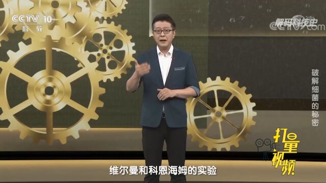 科赫到底有多聪明,当时令人发愁的炭疽病和结核病都是他所发现