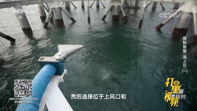 在“耕海1号”上,要怎么保证鱼饲料不被水流冲走?