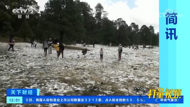 寒潮来袭,墨西哥首都出现降雪