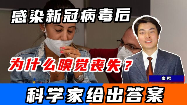 为什么新冠会引发嗅觉丧失?科研结果来了,跟免疫攻击有关!