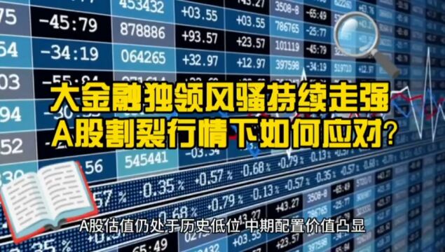 大金融太强了!但股市割裂行情尽显 该如何应对?