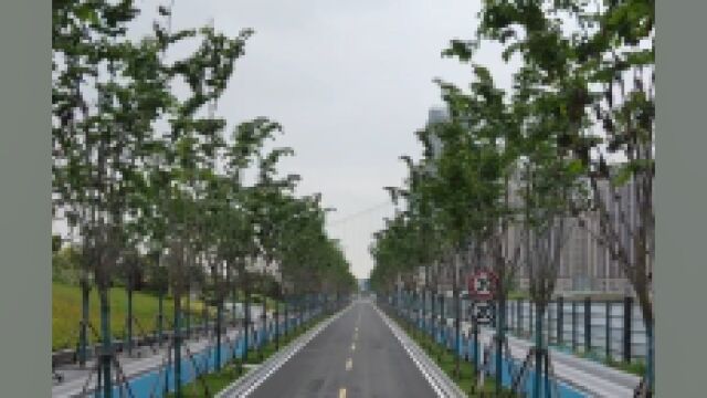 汉阳区再新添一条滨江景观道路