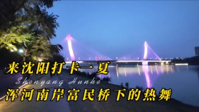 清凉一夏,打卡沈阳,浑河南岸富民桥下的热舞