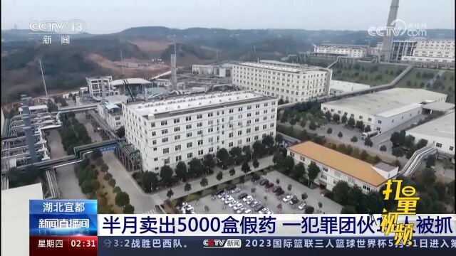 湖北宜都:半月卖出5000盒假药,一犯罪团伙14人被抓