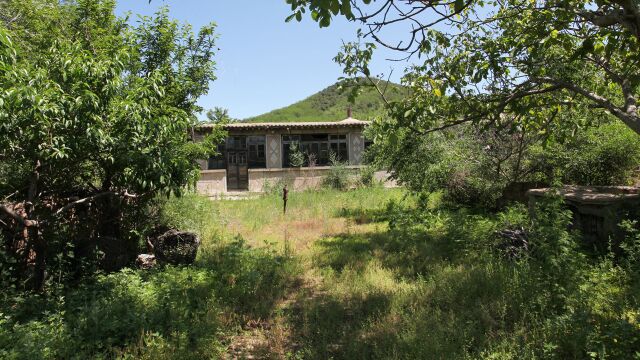 东北山村废弃农家院:红砖青石垒墙,有前后院,野樱桃红了无人摘