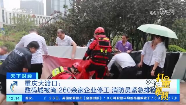 重庆大渡口:数码城被淹,260余家企业停工,消防员紧急排险