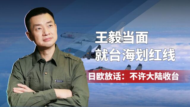 王毅当面就台海划红线,不到24小时,日欧放话:不许大陆收台