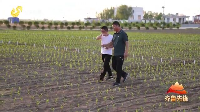 大叔运用数字化服务平台,快速调配机械,轻松进行麦收