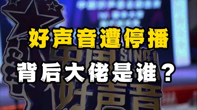 好声音停播,彻查转腚费?决策人退出娱乐圈,背后大佬究竟是谁?