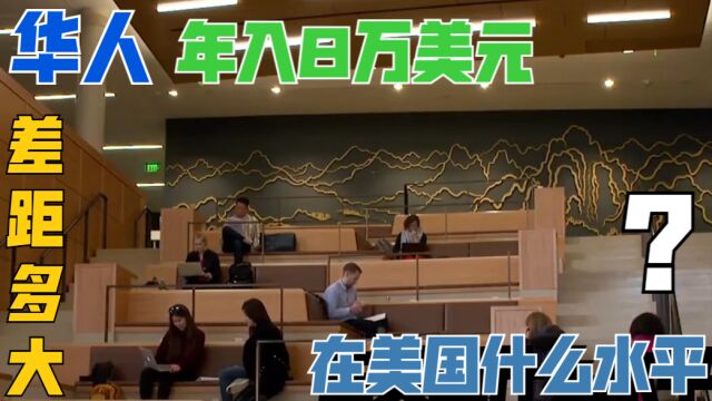 年收入80000美元的华人,在美国是什么水平?看看差距有多大