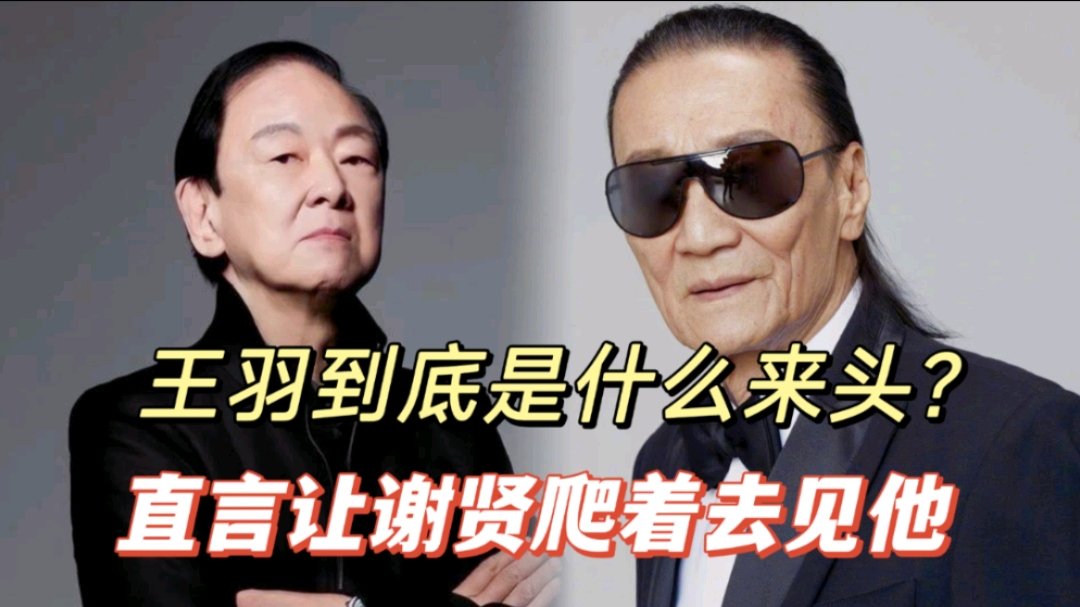 王羽到底是什么来头?能让不可一世谢贤低头?还要让谢贤爬着去见他?